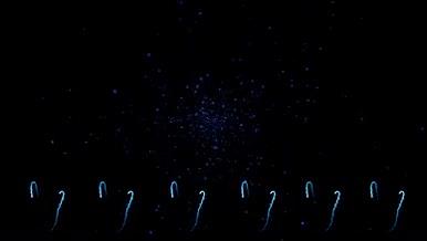 蓝色科技粒子大气启动庆典仪式视频的预览图